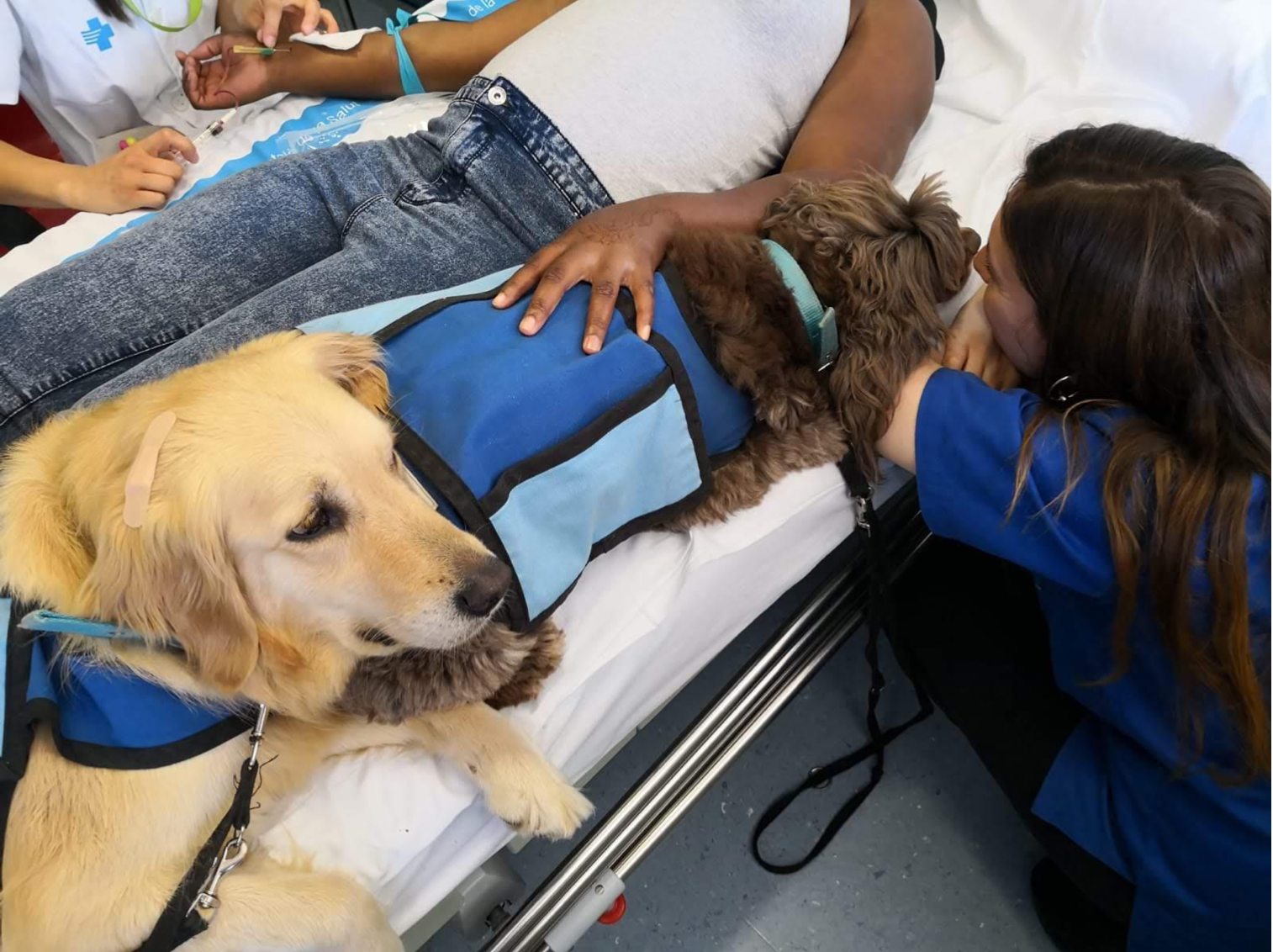 Itcan- Catim Colaboraciones